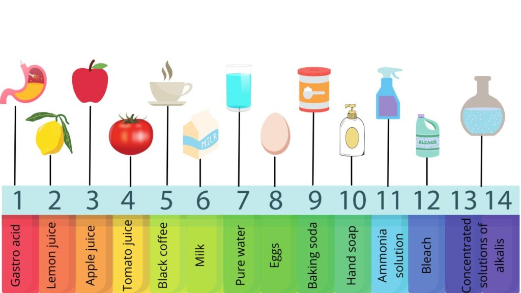 pH scale examples