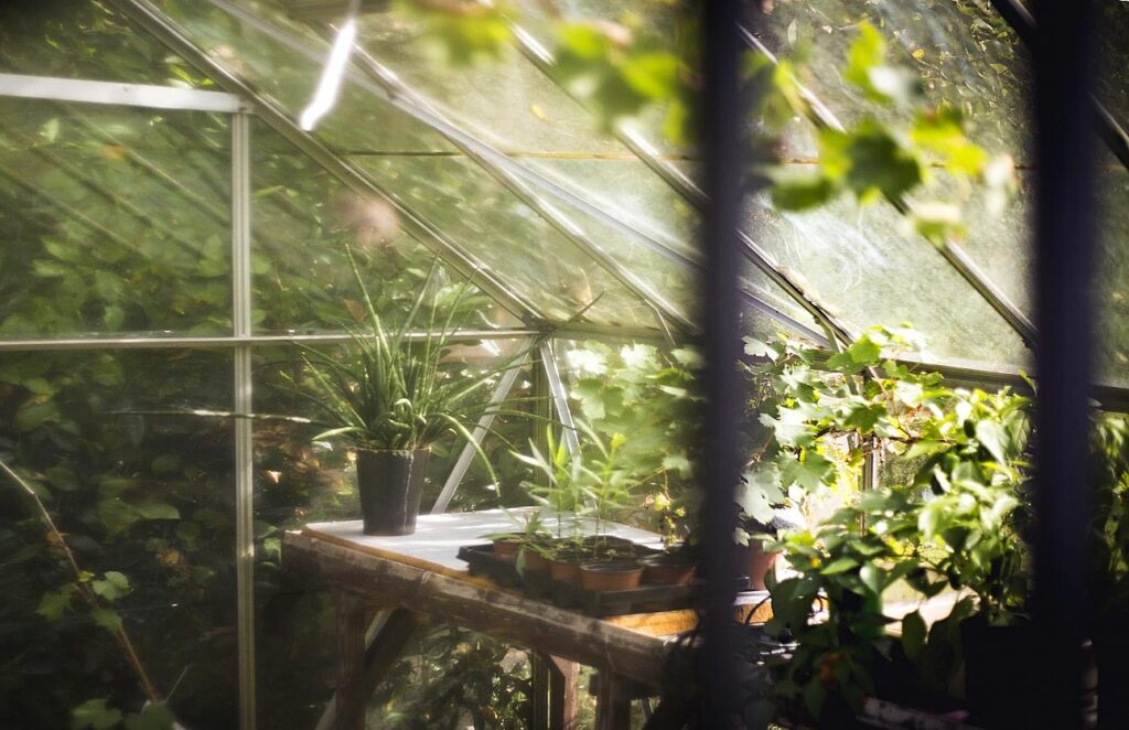 Small Greenhouse